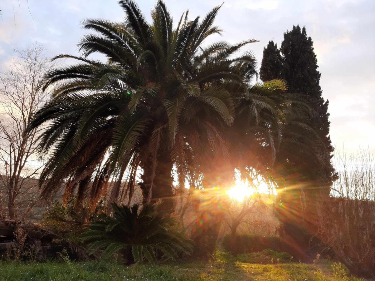 La Meriggia Senigallia Agriturismo Ancona Ngoại thất bức ảnh
